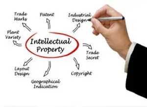 Global intellectual property
