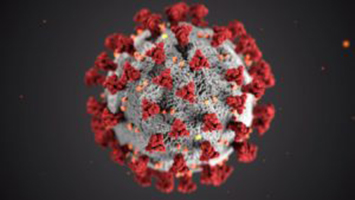 https://ssrana.in/wp-content/uploads/2022/06/coronavirus1.jpg