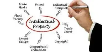 white board of intellectual property