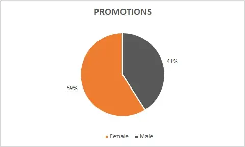 Promotion Graph