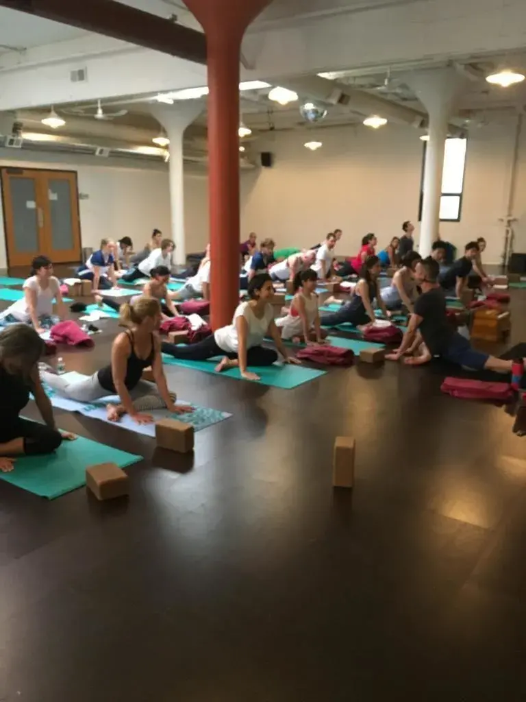 yoga Session 2019-ssrana