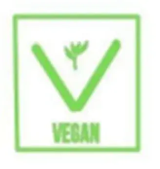 The Vegan Food