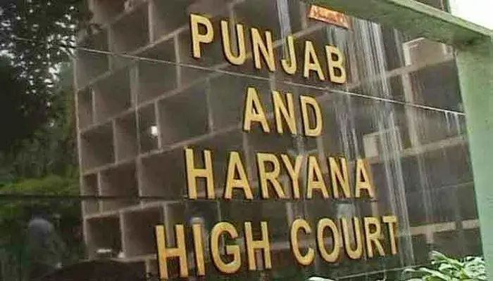 Punjab and Haryana High Court judgment cases
