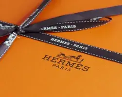 Hermes bag