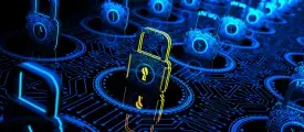 CERT- In ensures