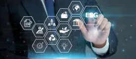 Sebi BRSR Mandate