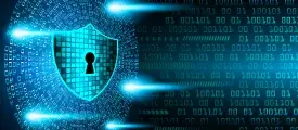 Cyber Security Issue Halts