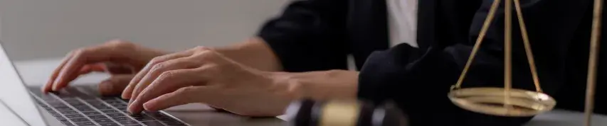 Litigation Due Diligence