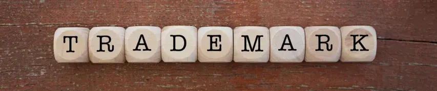 TM Opposition in Indonesia