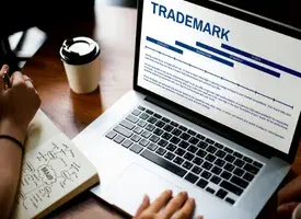 Assessing Trademark Infringement