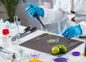 FSSAI Raises Turnover Limits for Food Business Registration and Licensing