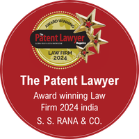 The Patent Lawyer 2024