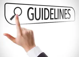 Box 11 - New AI-Vulnerability Guidelines