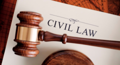 Civil & Criminal Litigation