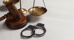 Criminal Litigation
