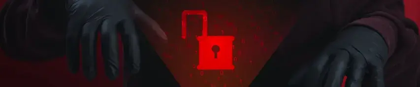 Cyber Crime