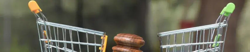 Disputes Consumer Protection