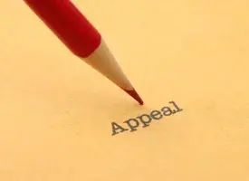 No Letters Patent Appeal