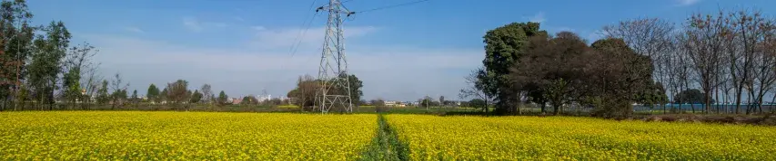 Image Patents Filing in Mohali