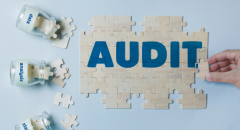 IP Audit