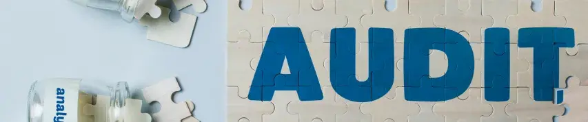 IP Audit in India