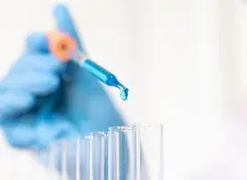 Draft Biotechnology Patent Guidelines